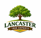 Tree Removal Lancaster PA